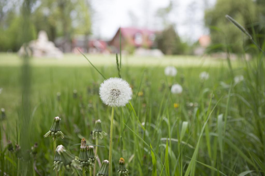 Spreewald Lodge ブルク 部屋 写真